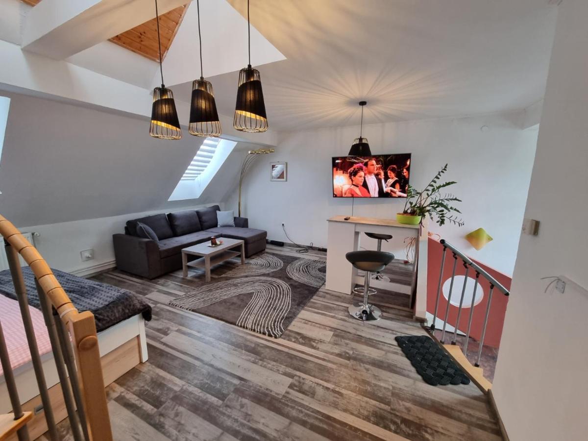 Pension Donaublick Grein 2 In Stifterstrasse 19A Bagian luar foto
